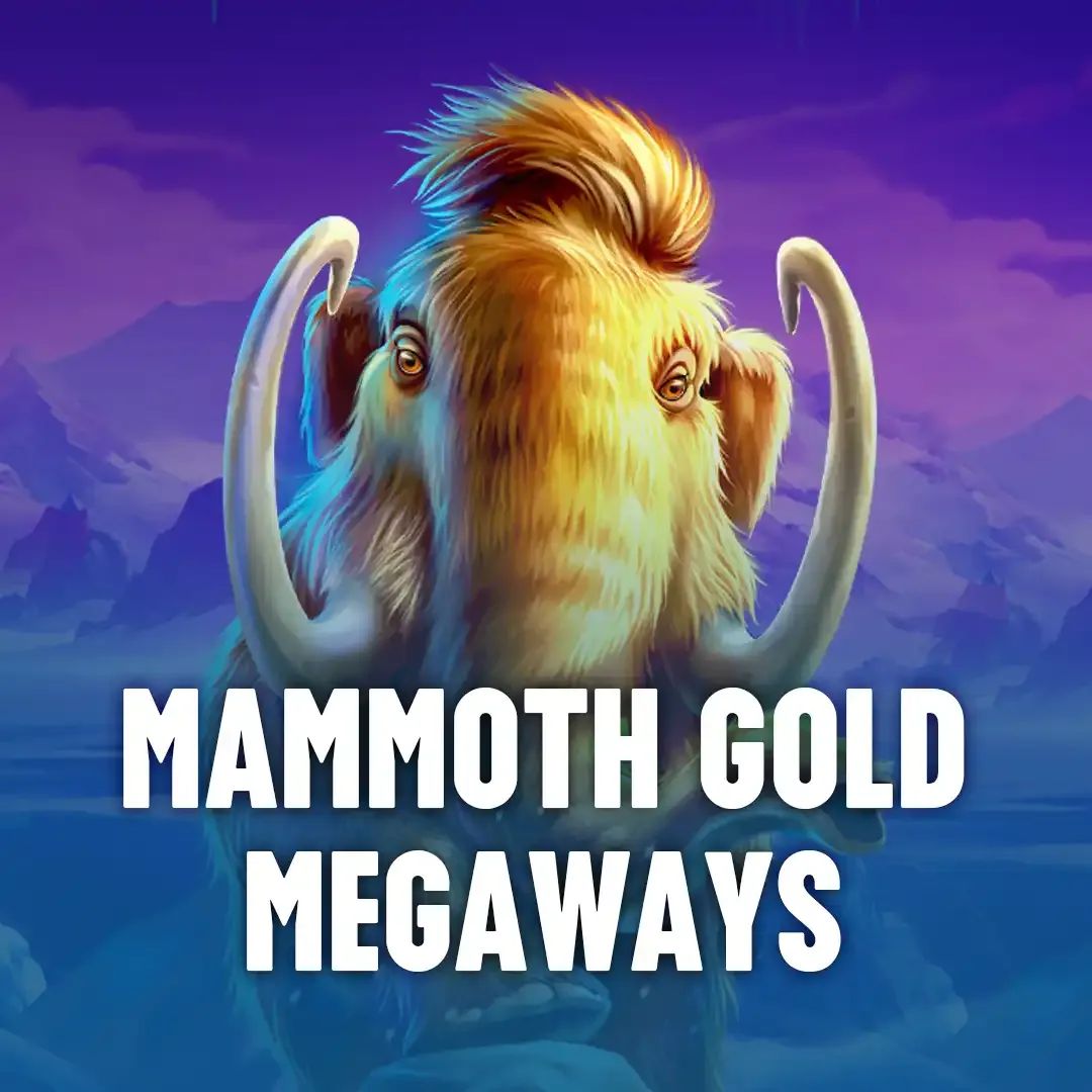 6rbet login