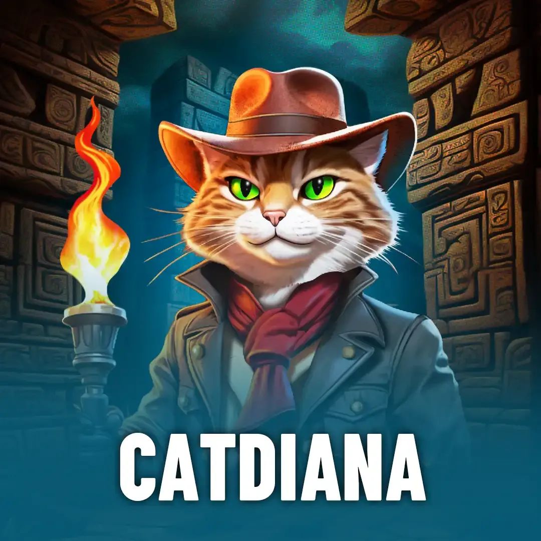 1xcassino